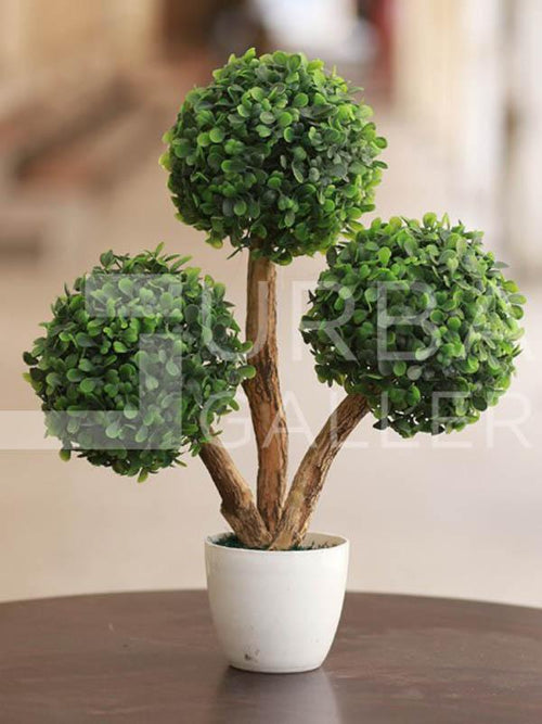 Bonsai planter 3 hands