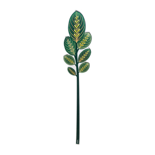Calathea Leaf Large Funny Flowers
