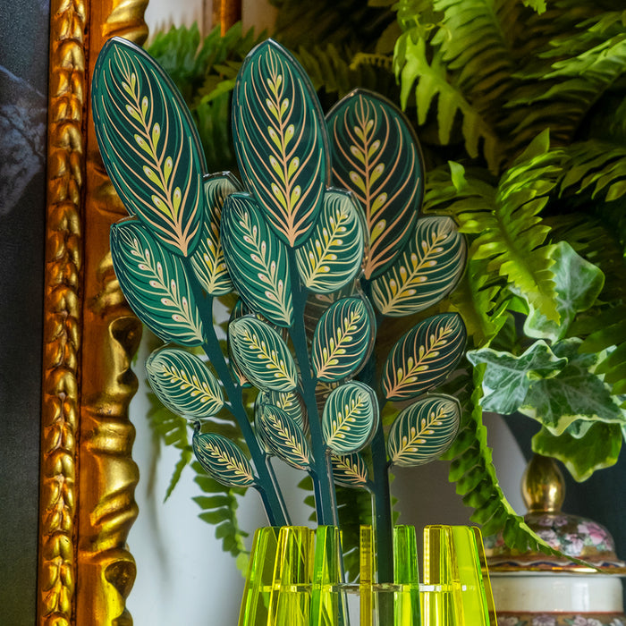 Calathea Leaf Large Funny Flowers