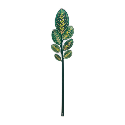 Calathea Leaf Small Funny Flowers