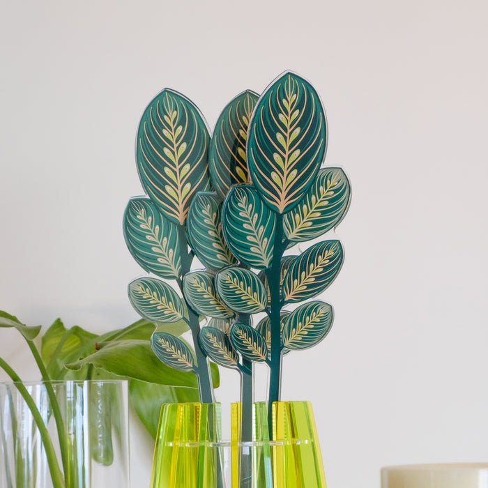 Calathea Leaf Small Funny Flowers