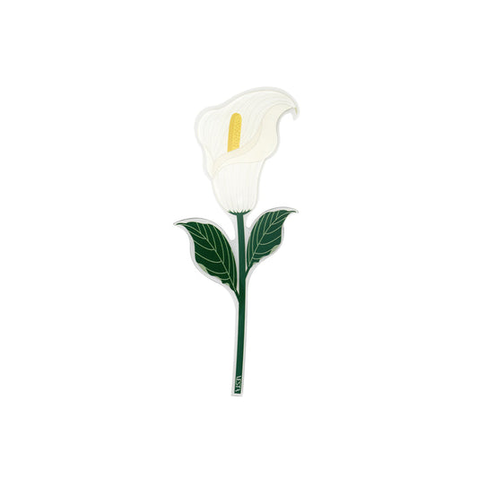 Calla Special Moments