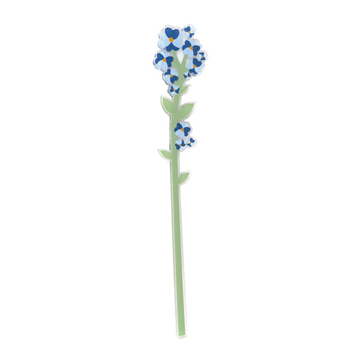 Forget-Me-Not Large Funny Flowers