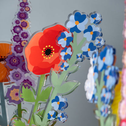 Forget-Me-Not Large Funny Flowers