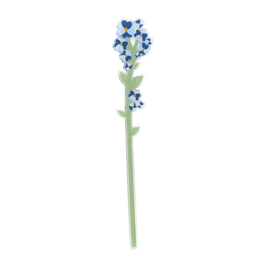 Forget-Me-Not Small Funny Flowers