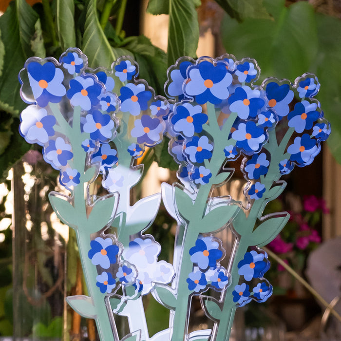 Forget-Me-Not Small Funny Flowers