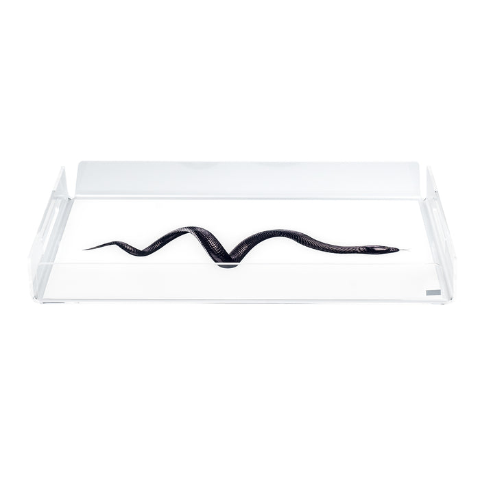 Large Tray Like Water