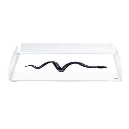 Large Tray Like Water
