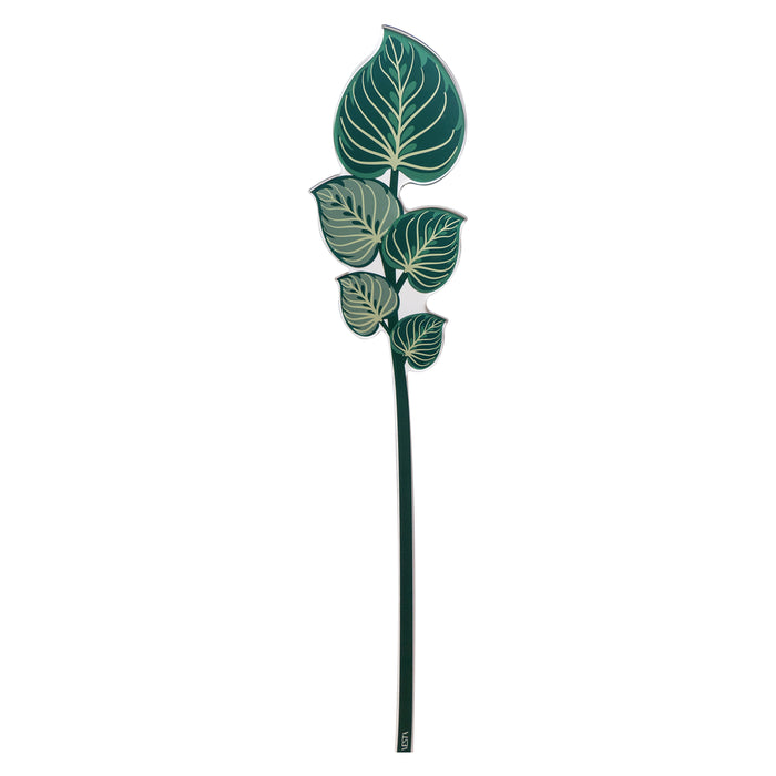 Maranta Leaf Small Funny Flowers