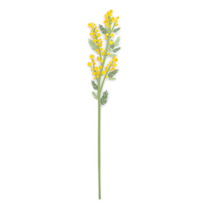 Mimosa Small Funny Flowers