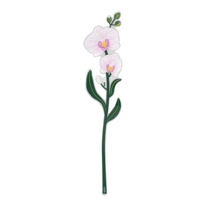 Orchid Large Funny Flowers