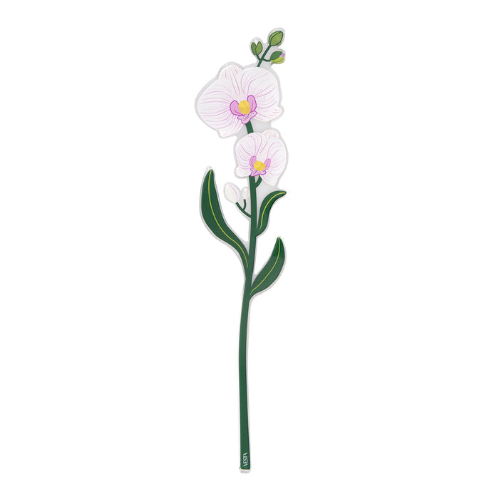 Orchid Small Funny Flowers