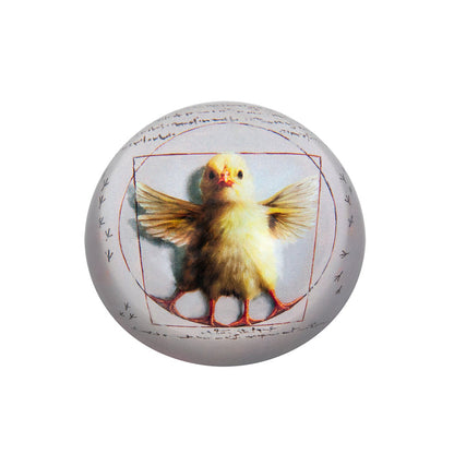 Paper Weight Heffernan Collection