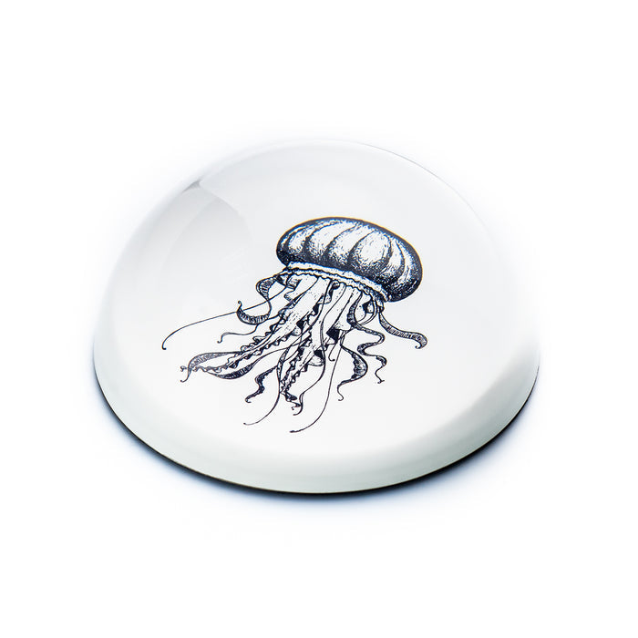 Paperweight Stone
