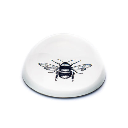 Paperweight Stone