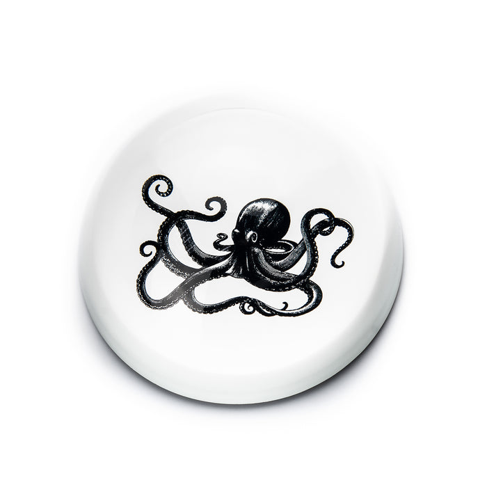 Paperweight Stone