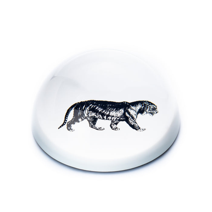 Paperweight Stone