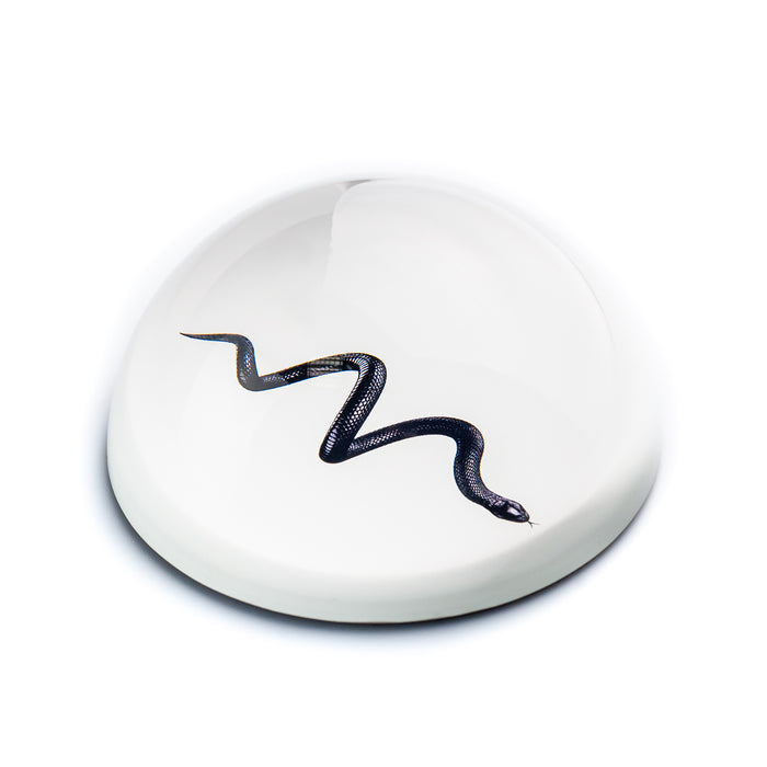 Paperweight Stone
