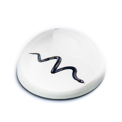 Paperweight Stone