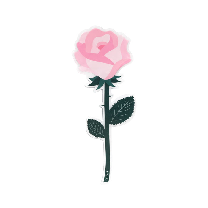 Pink Rose Special Moments