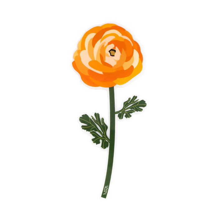 Ranunculus Special Moments