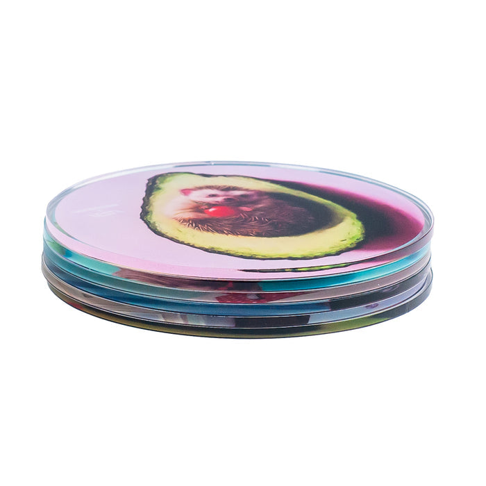 Set Of 6 Coaster Heffernan