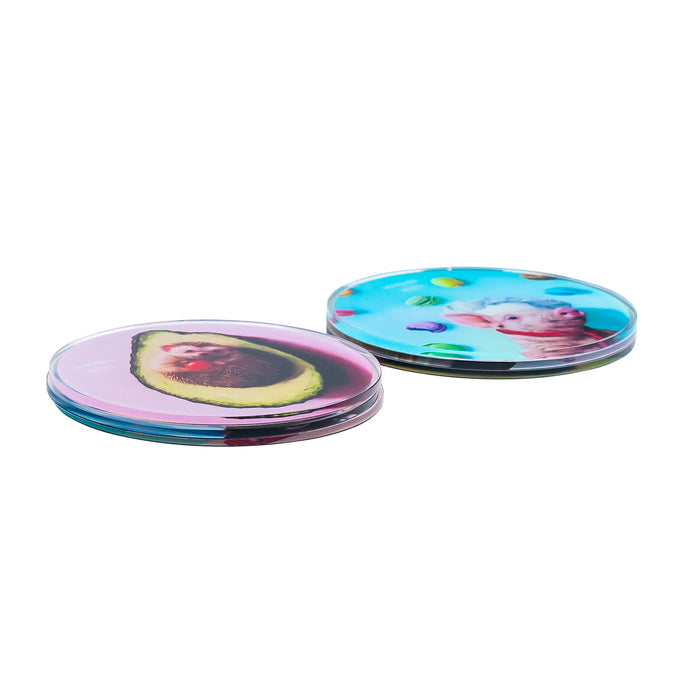 Set Of 6 Coaster Heffernan