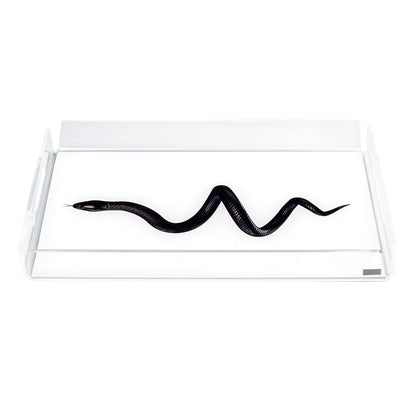 Small Tray Like Water