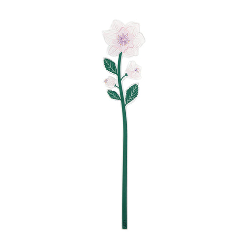 Small Wild Rose Funny Flowers