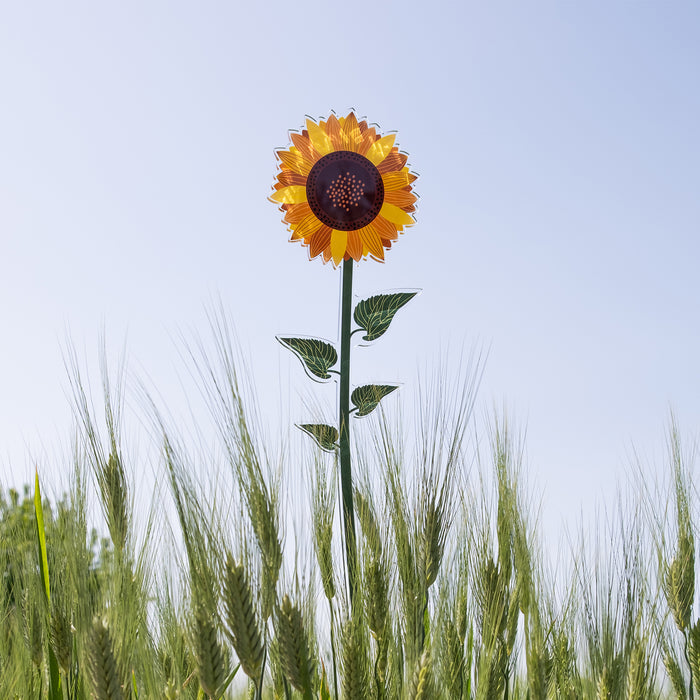 Sunflower Small Funny Flowers