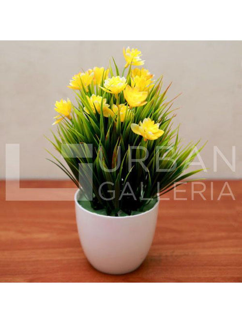 Thomas planter