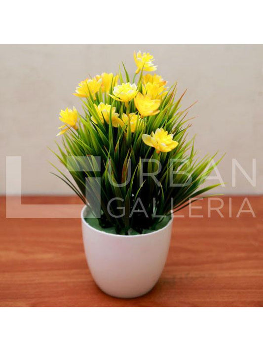Thomas planter
