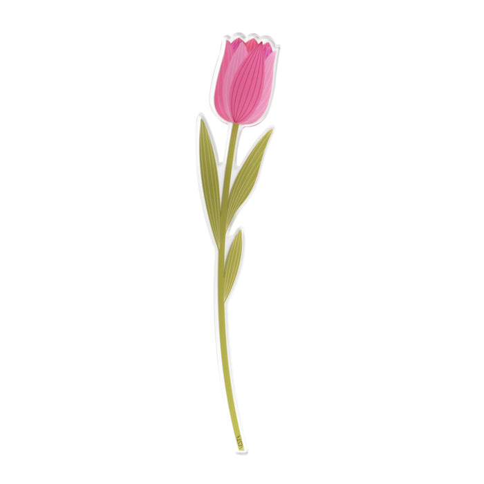 Tulip Small Funny Flowers