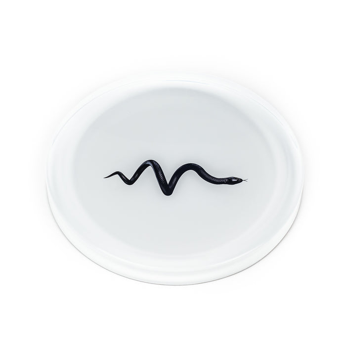 Valet Tray Hollow