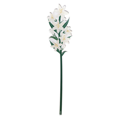 White Lily Large Funny Flowers