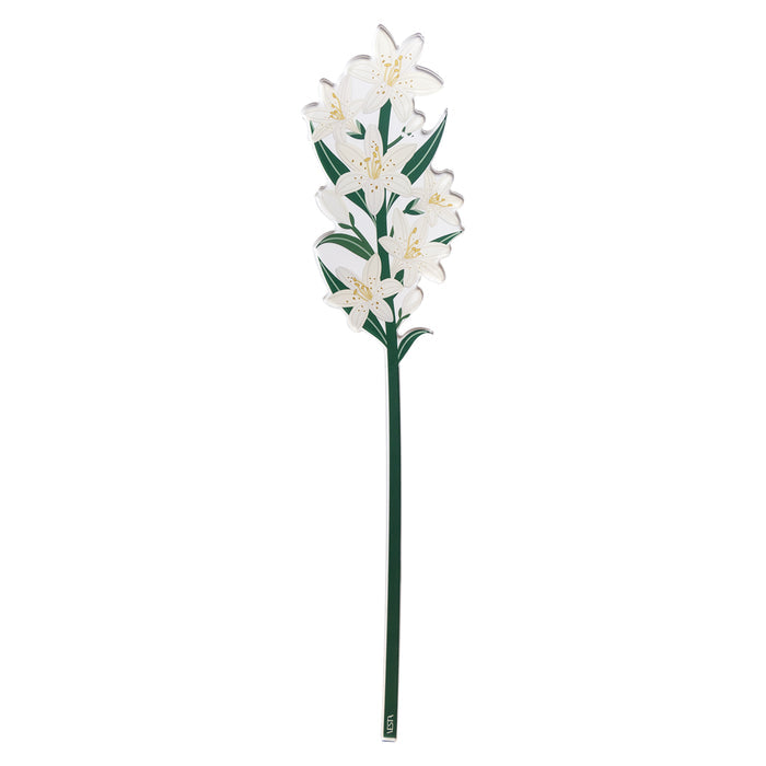 White Lily Small Funny Flowers